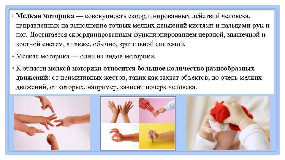 ◦ Мелкая моторика — совокупность скоординированных действий человека, направленных на выполнение точных мелких движений