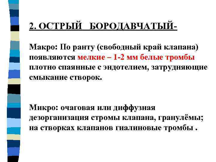 2. ОСТРЫЙ БОРОДАВЧАТЫЙМакро: По ранту (свободный край клапана) появляются мелкие – 1 -2 мм