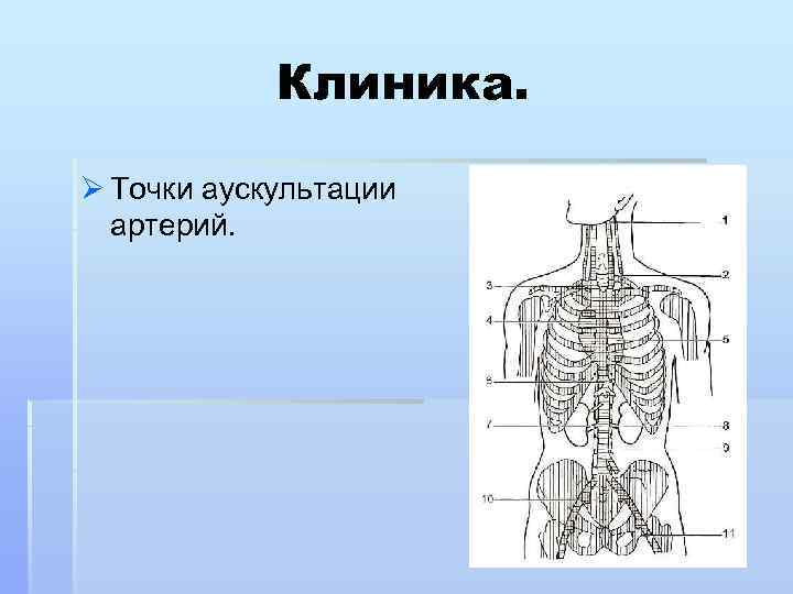 Клиника. Ø Точки аускультации артерий. 