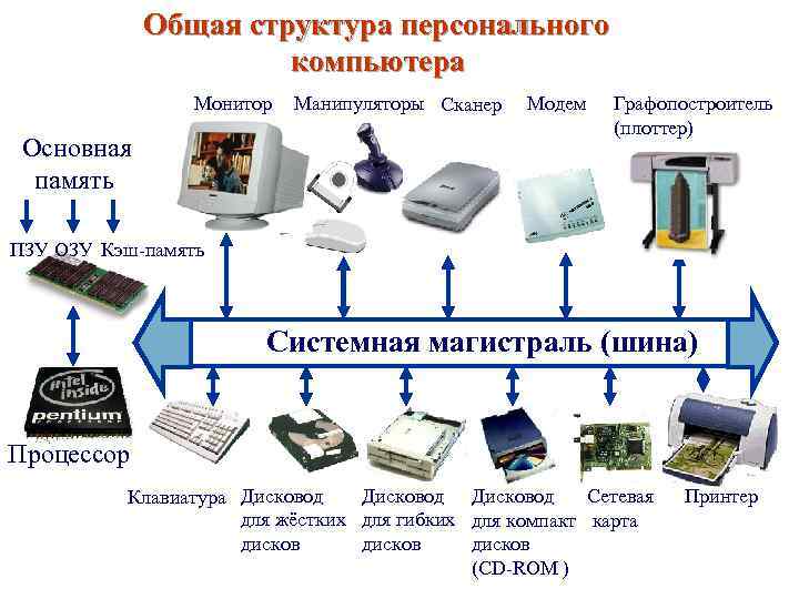 Общая структура персонального компьютера Монитор Основная память Манипуляторы Сканер Модем Графопостроитель (плоттер) ПЗУ ОЗУ