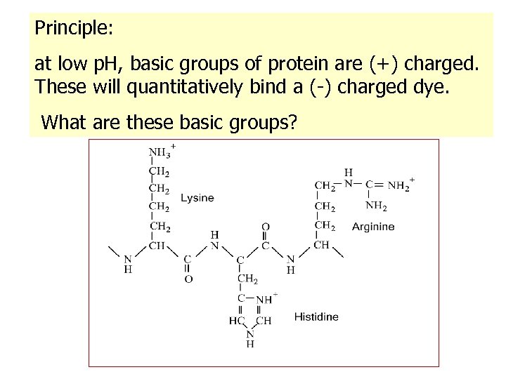 Principle: at low p. H, basic groups of protein are (+) charged. These will