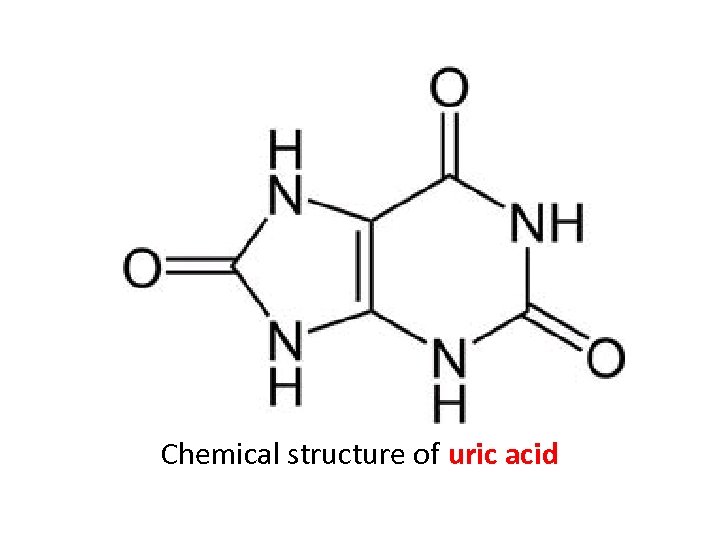 Chemical structure of uric acid 