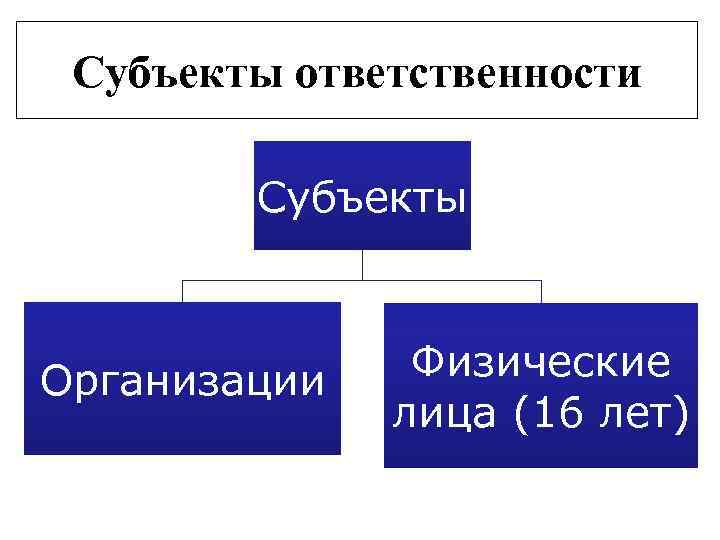 Субъекты ответственности Субъекты Организации Физические лица (16 лет) 