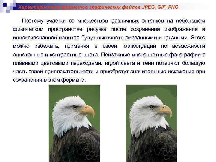 Характеристика форматов графических файлов JPEG, GIF, PNG Поэтому участки со множеством различных оттенков на