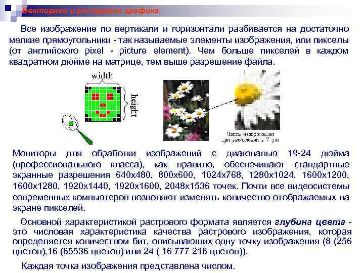 Векторная и растровая графика. Все изображение по вертикали и горизонтали разбивается на достаточно мелкие