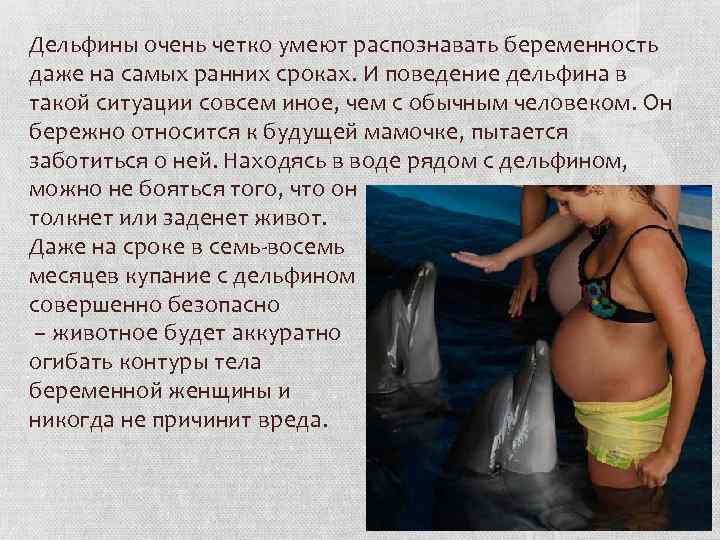 Дельфины очень четко умеют распознавать беременность даже на самых ранних сроках. И поведение дельфина