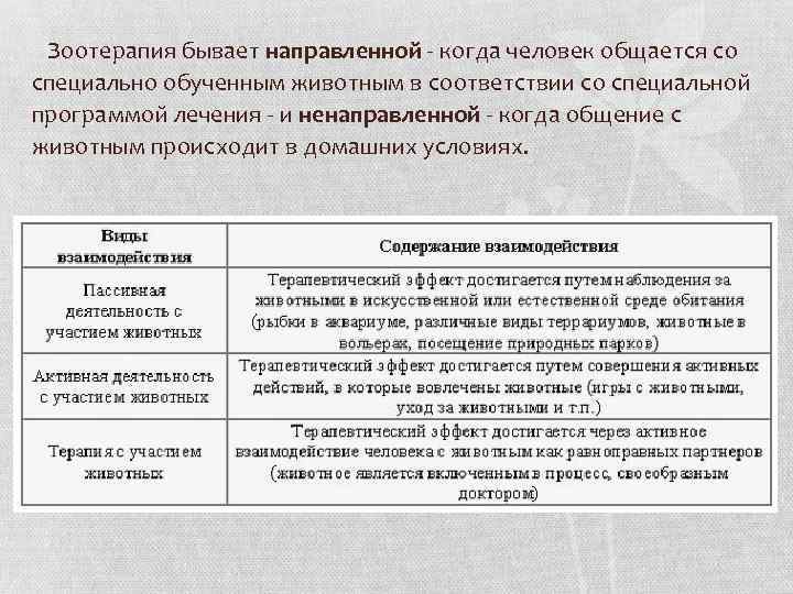 Чудодействие зоотерапии проект