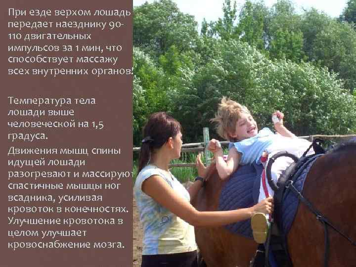 При езде верхом лошадь передает наезднику 90 110 двигательных импульсов за 1 мин, что