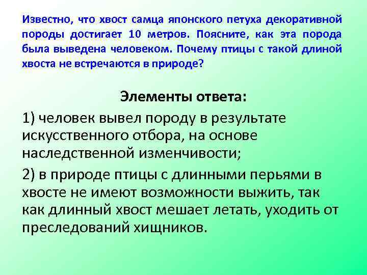 Известно, что хвост самца японского петуха декоративной породы достигает 10 метров. Поясните, как эта