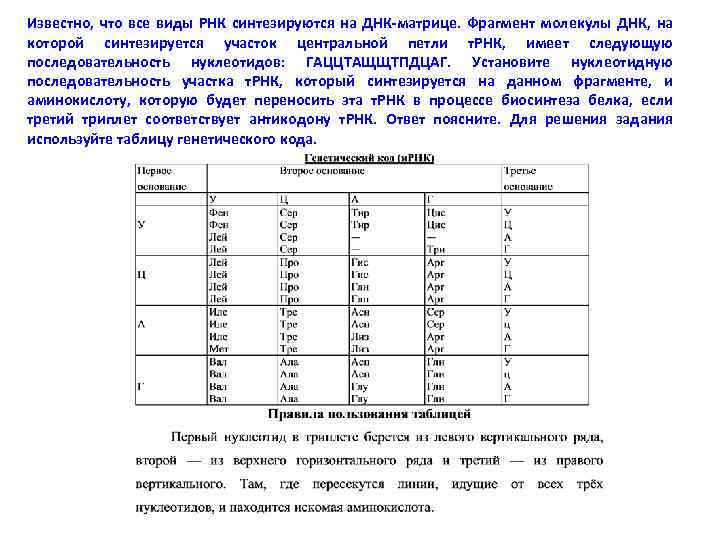 Известно, что все виды РНК синтезируются на ДНК-матрице. Фрагмент молекулы ДНК, на которой синтезируется