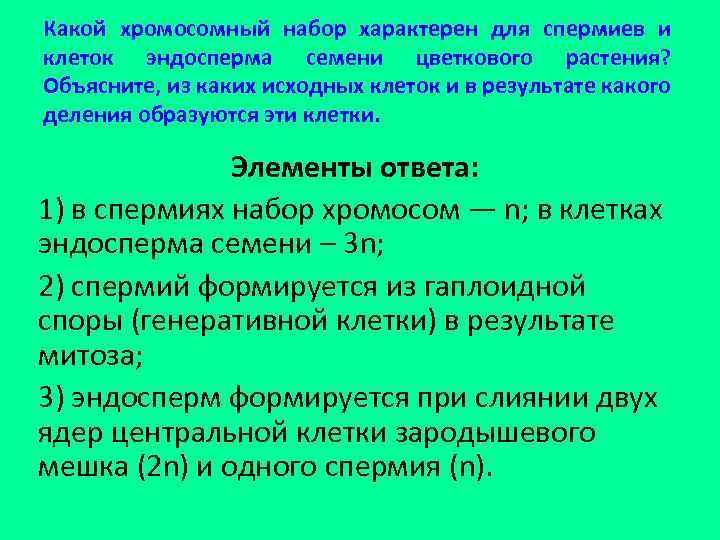 Какой хромосомный набор характерен для спермиев и клеток эндосперма семени цветкового растения? Объясните, из