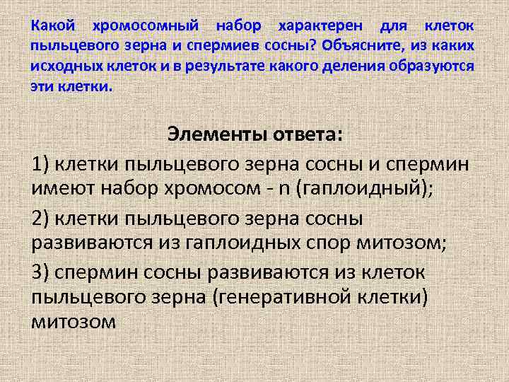 Какой хромосомный набор характерен для клеток пыльцевого зерна и спермиев сосны? Объясните, из каких