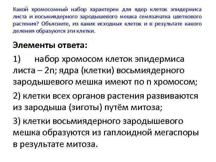 Какой хромосомный набор характерен для ядер клеток эпидермиса листа и восьмиядерного зародышевого мешка семязачатка