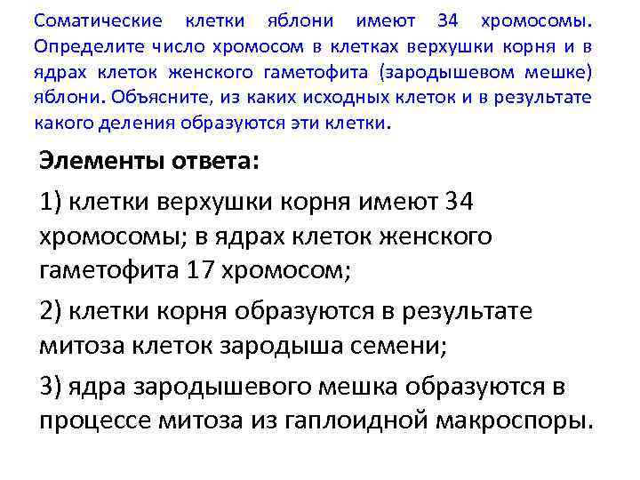 Соматические клетки яблони имеют 34 хромосомы. Определите число хромосом в клетках верхушки корня и