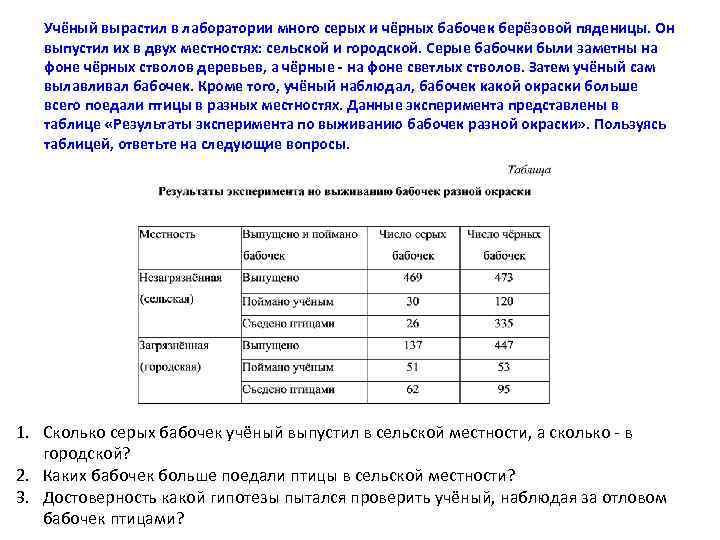 Учёный вырастил в лаборатории много серых и чёрных бабочек берёзовой пяденицы. Он выпустил их