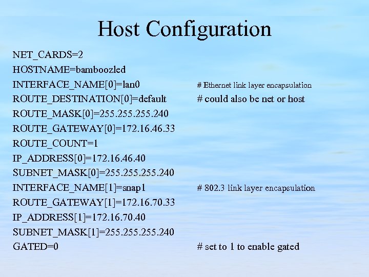 Host Configuration NET_CARDS=2 HOSTNAME=bamboozled INTERFACE_NAME[0]=lan 0 ROUTE_DESTINATION[0]=default ROUTE_MASK[0]=255. 240 ROUTE_GATEWAY[0]=172. 16. 46. 33 ROUTE_COUNT=1