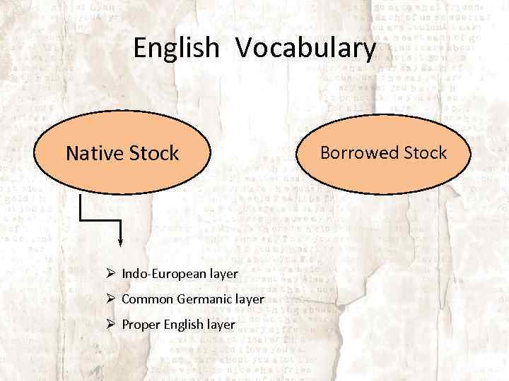 English Vocabulary Native Stock Indo-European layer Common Germanic layer Proper English layer Borrowed Stock