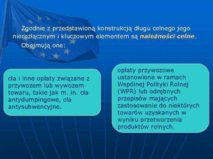 Zgodnie z przedstawioną konstrukcją długu celnego jego nierozłącznym i kluczowym elementem są należności celne.