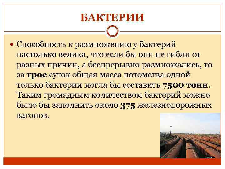 БАКТЕРИИ Способность к размножению у бактерий настолько велика, что если бы они не гибли
