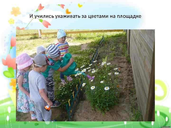 И учились ухаживать за цветами на площадке 
