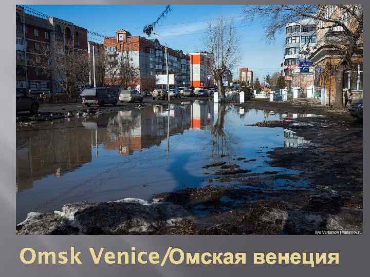 Omsk Venice/Омская венеция 