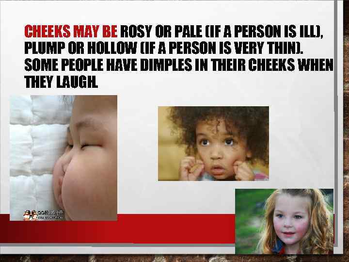 CHEEKS MAY BE ROSY OR PALE (IF A PERSON IS ILL), PLUMP OR HOLLOW