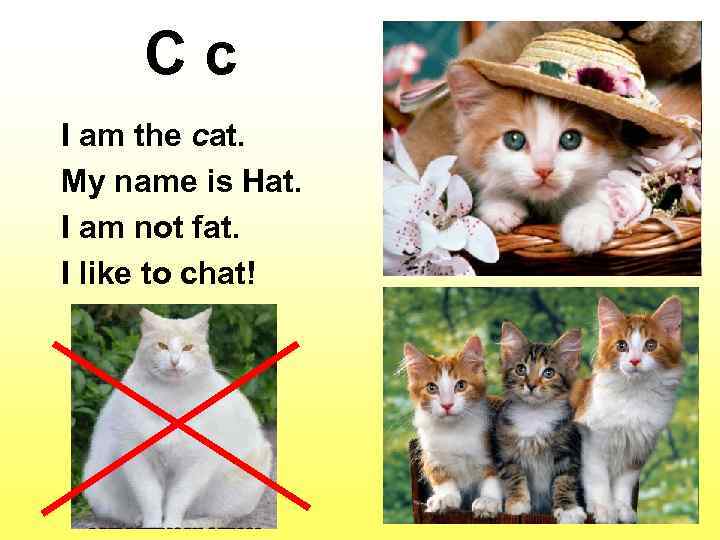 C c I am the cat. My name is Hat. I am not fat.