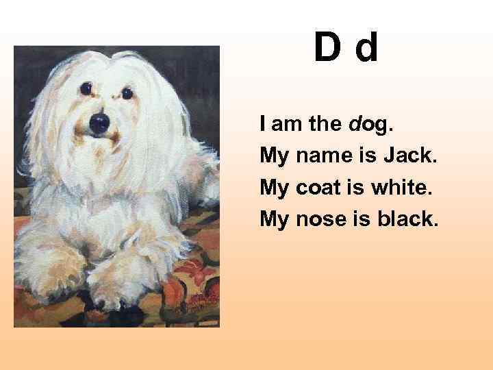 D d I am the dog. My name is Jack. My coat is white.
