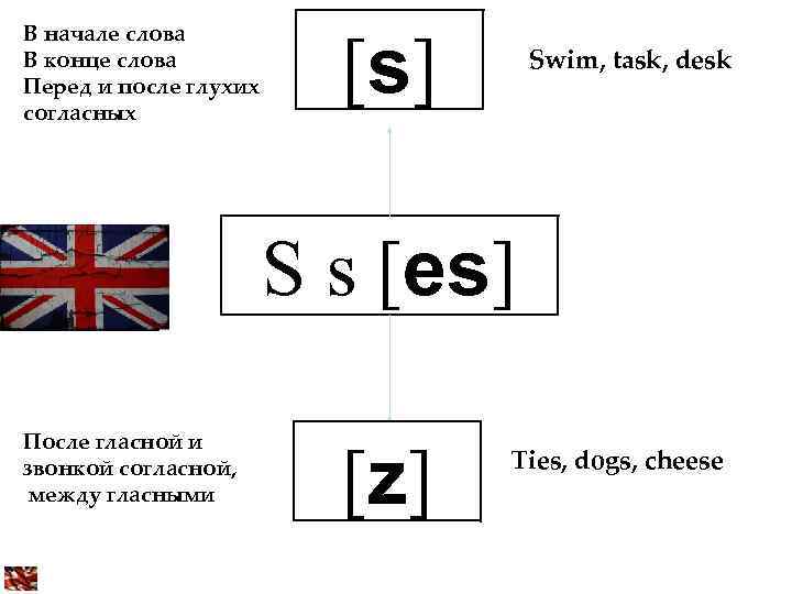 В начале слова В конце слова Перед и после глухих согласных [s] Swim, task,
