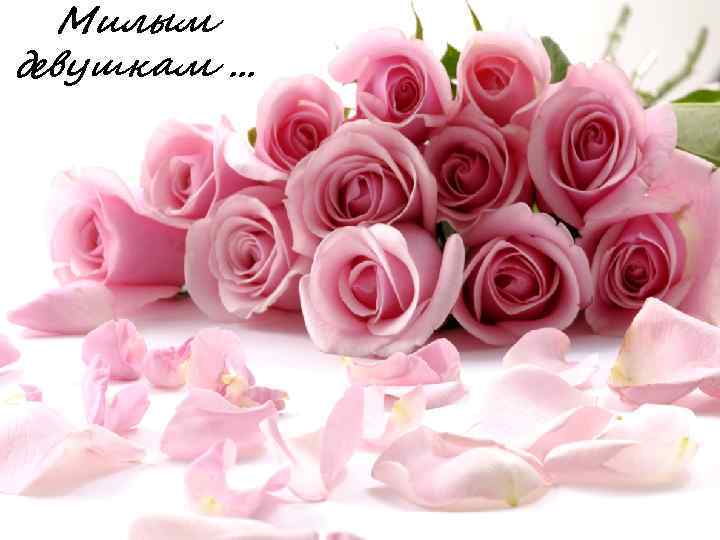 Милым девушкам. . . 