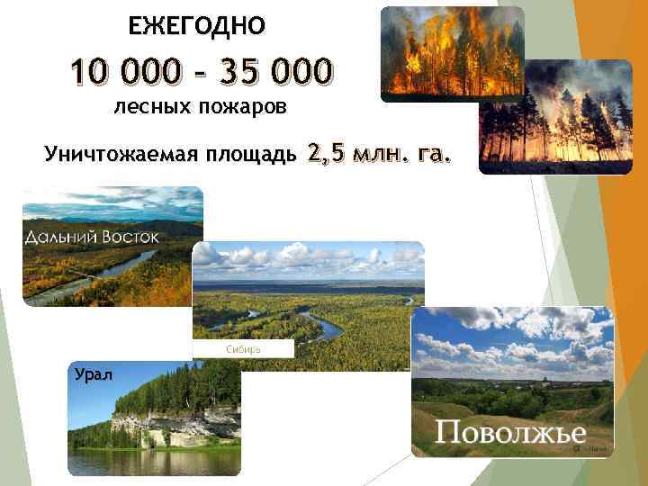 ЕЖЕГОДНО 10 000 – 35 000 лесных пожаров Уничтожаемая площадь 2, 5 млн. га.