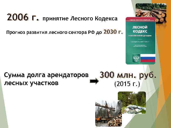 2006 г. принятие Лесного Кодекса Прогноз развития лесного сектора РФ до Сумма долга арендаторов