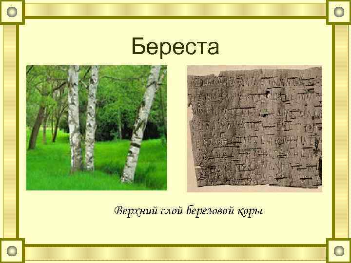 Береста Верхний слой березовой коры 