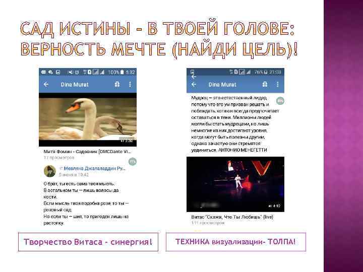 Творчество Витаса – синергия! ТЕХНИКА визуализации- ТОЛПА! 