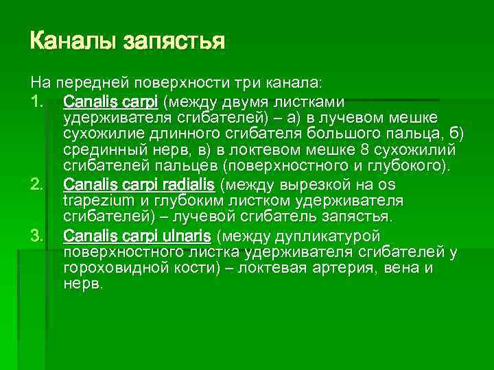 Каналы запястья На передней поверхности три канала: 1. Canalis carpi (между двумя листками удерживателя