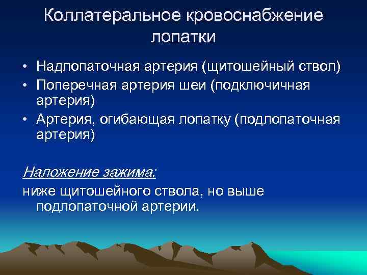 Коллатеральное кровоснабжение лопатки • Надлопаточная артерия (щитошейный ствол) • Поперечная артерия шеи (подключичная артерия)