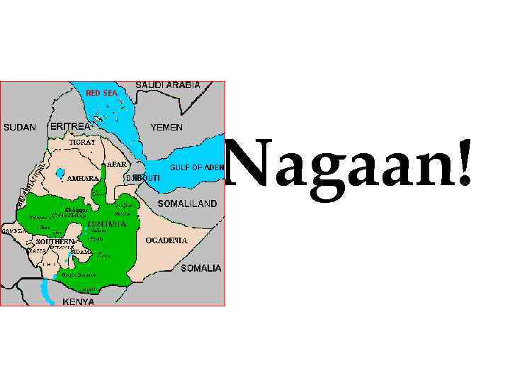 Nagaan! 