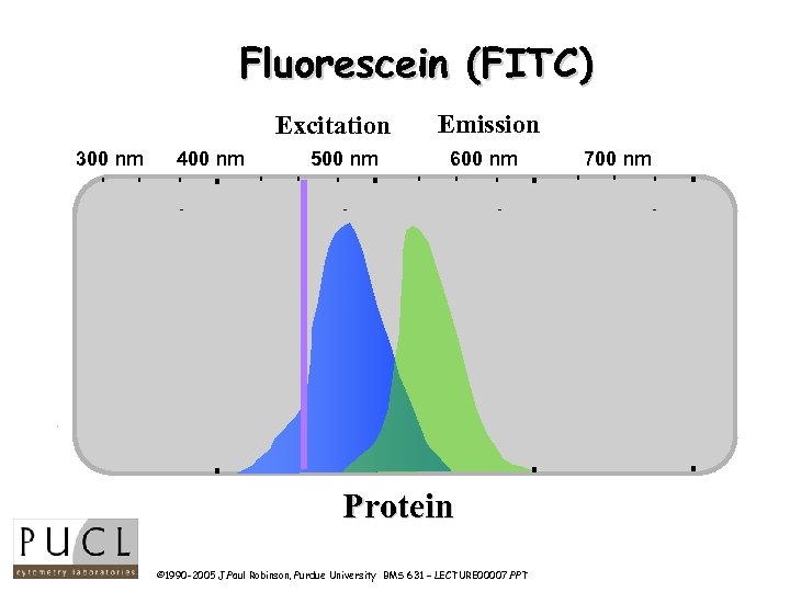 Fluorescein (FITC) Excitation 300 nm 400 nm 500 nm Wavelength Emission 600 nm 500