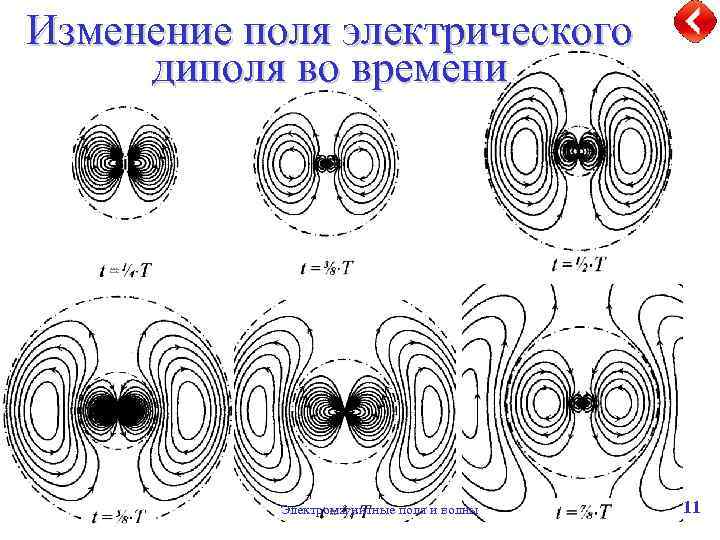 Изменение поля электрического диполя во времени Электромагнитные поля и волны 11 