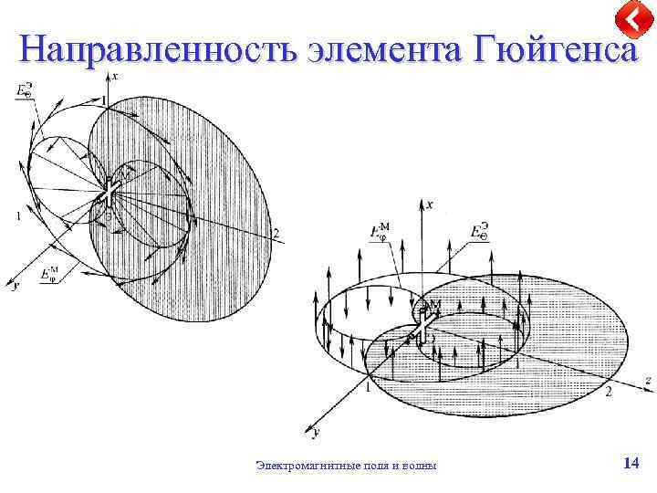 Направленность элемента Гюйгенса Электромагнитные поля и волны 14 