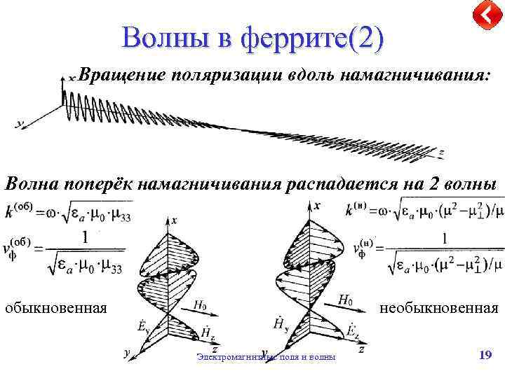Волны в феррите(2) Вращение поляризации вдоль намагничивания: Волна поперёк намагничивания распадается на 2 волны
