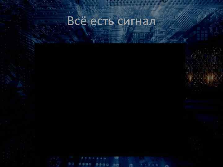 Всё есть сигнал 