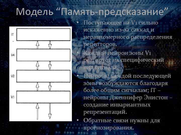 Модель “Память-предсказание” • Поступающее на V 1 сильно искаженно из-за саккад и неравномерного распределения