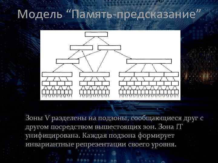Модель “Память-предсказание” Зоны V разделены на подзоны, сообщающиеся друг с другом посредством вышестоящих зон.