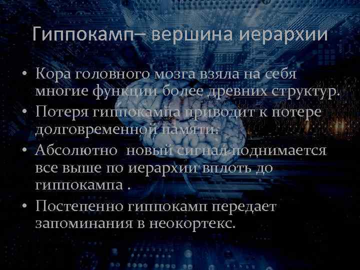 Гиппокамп– вершина иерархии • Кора головного мозга взяла на себя многие функции более древних