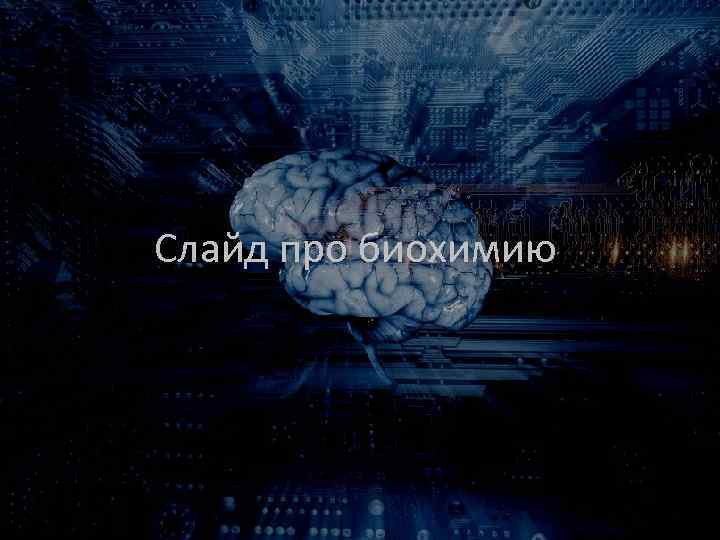 Слайд про биохимию 