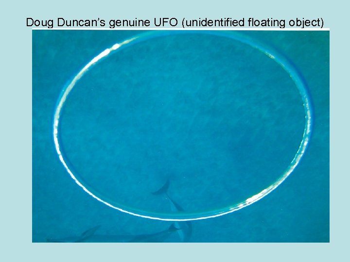 Doug Duncan’s genuine UFO (unidentified floating object) 