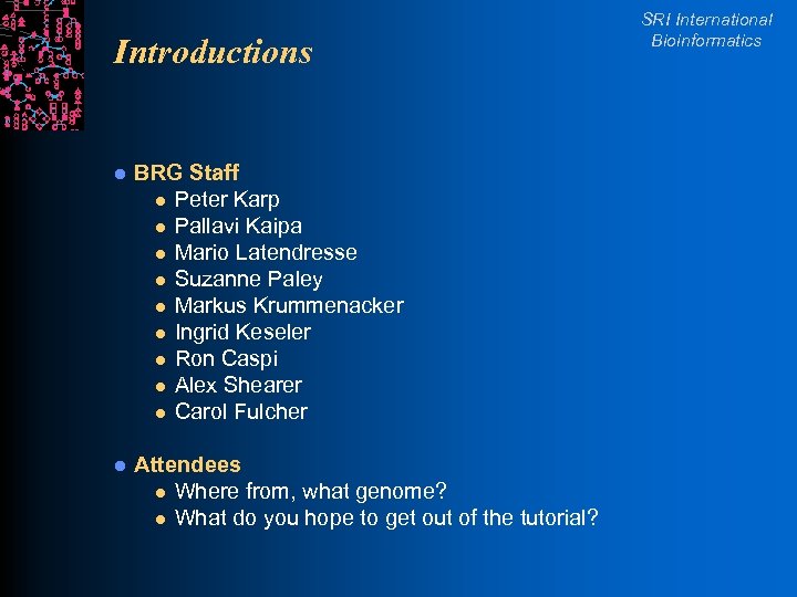 Introductions l BRG Staff l Peter Karp l Pallavi Kaipa l Mario Latendresse l