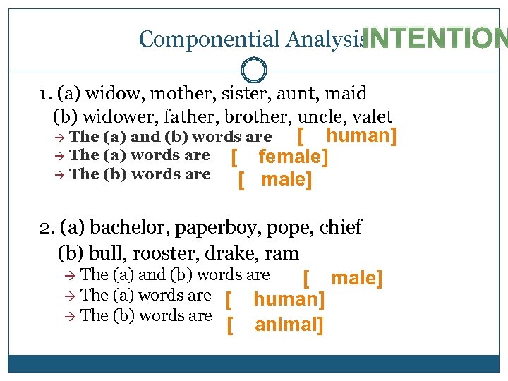 INTENTION Componential Analysis 1. (a) widow, mother, sister, aunt, maid (b) widower, father, brother,