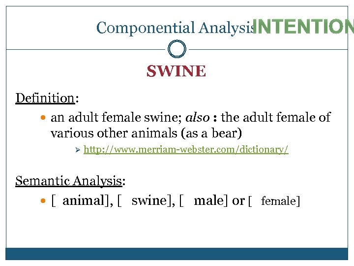 INTENTION Componential Analysis SWINE Definition: an adult female swine; also : the adult female